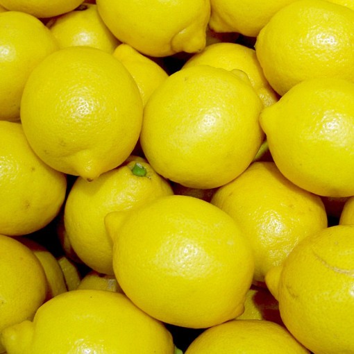 Citron Bio Jaune - Sicile Italie