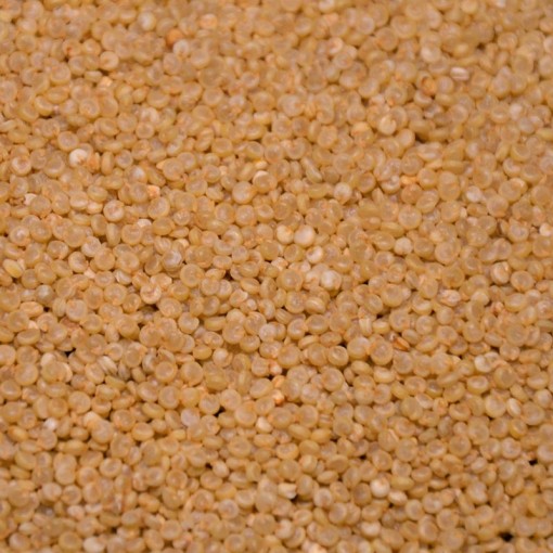 Quinoa Complet Bio